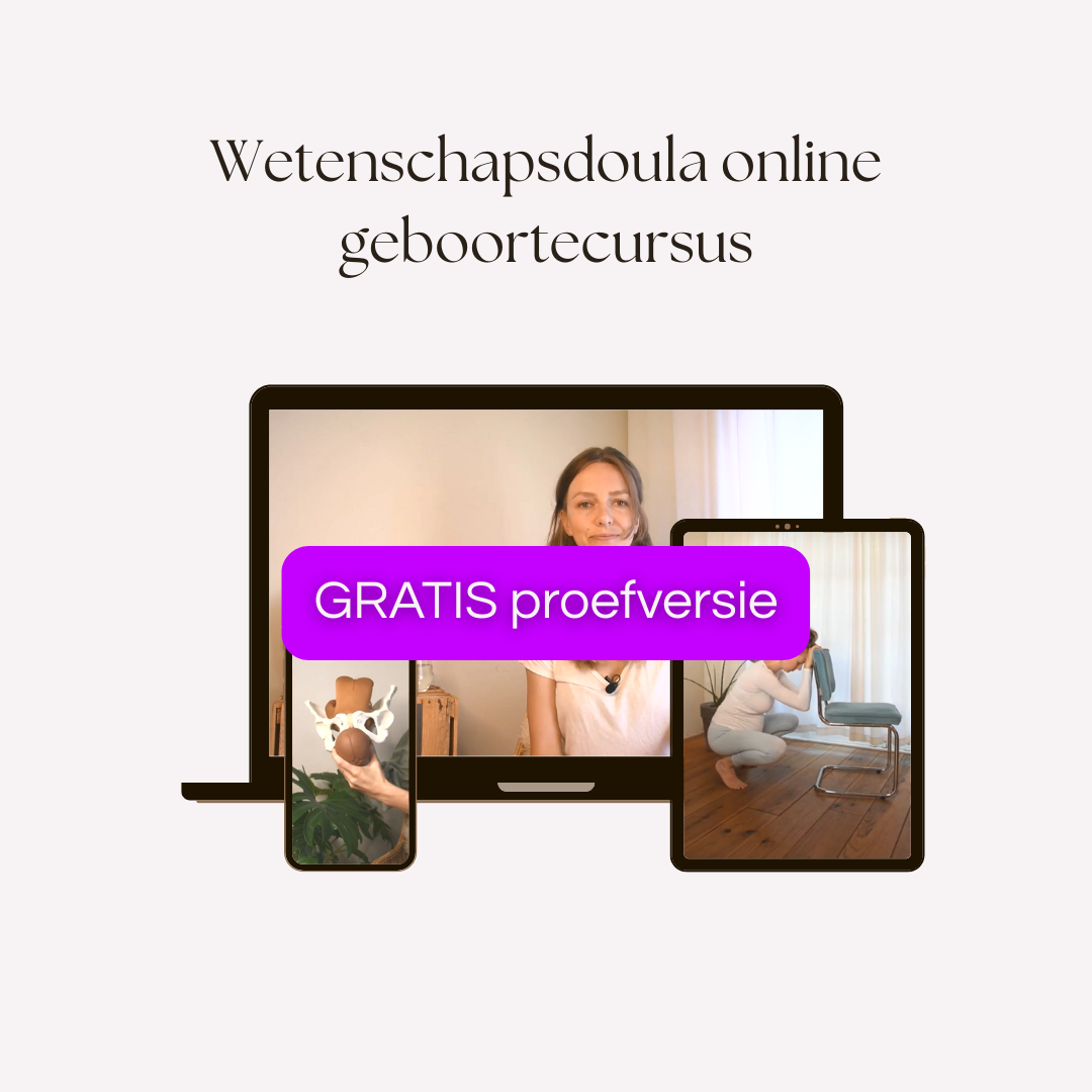GRATIS proefversie – Online Wetenschapsdoula zwangerschapscursus